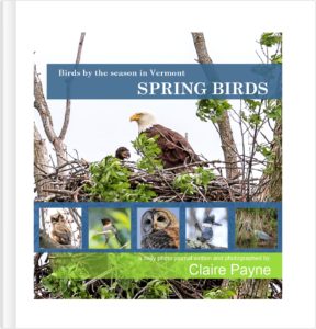 Front Cover Book - Spring Birds