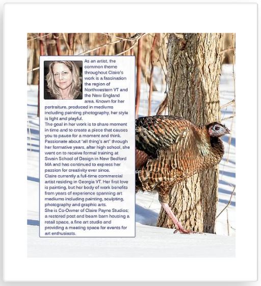 Book - Winter Birds