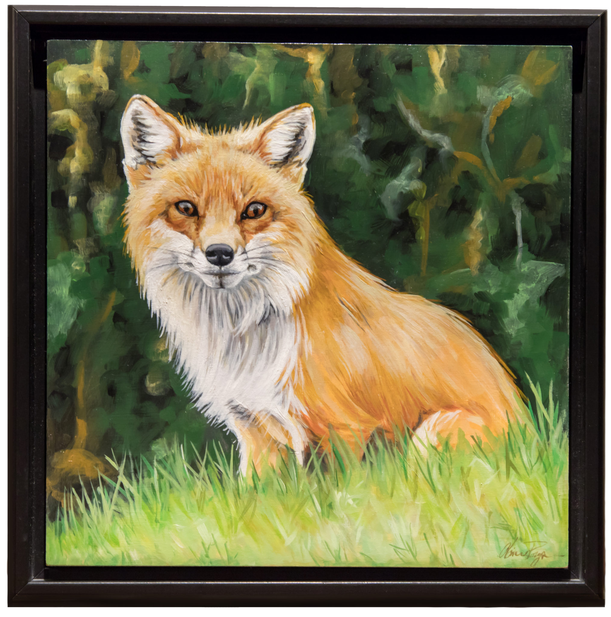 Original Painting - Backyard Vixen