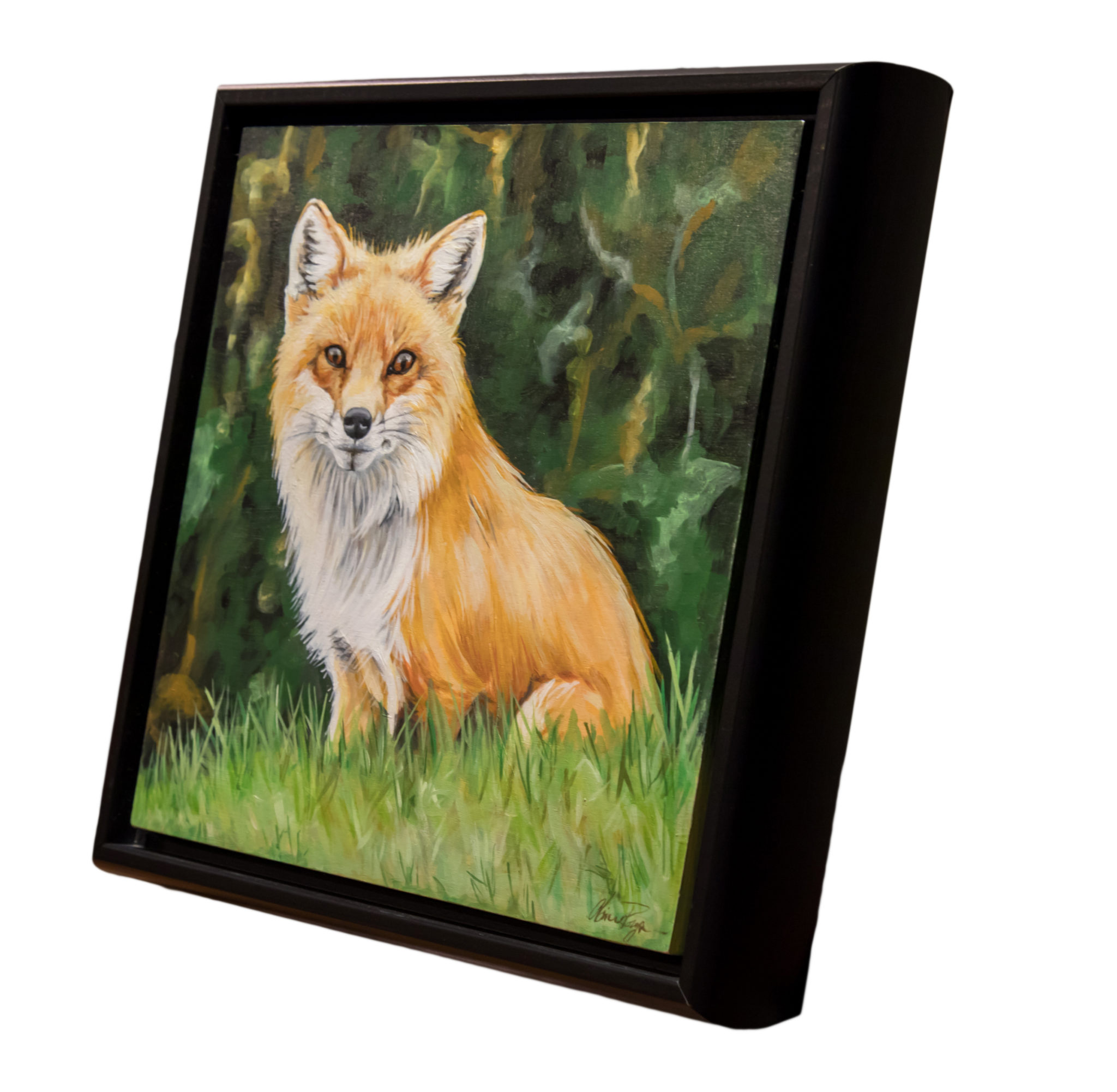 Original Painting - Backyard Vixen