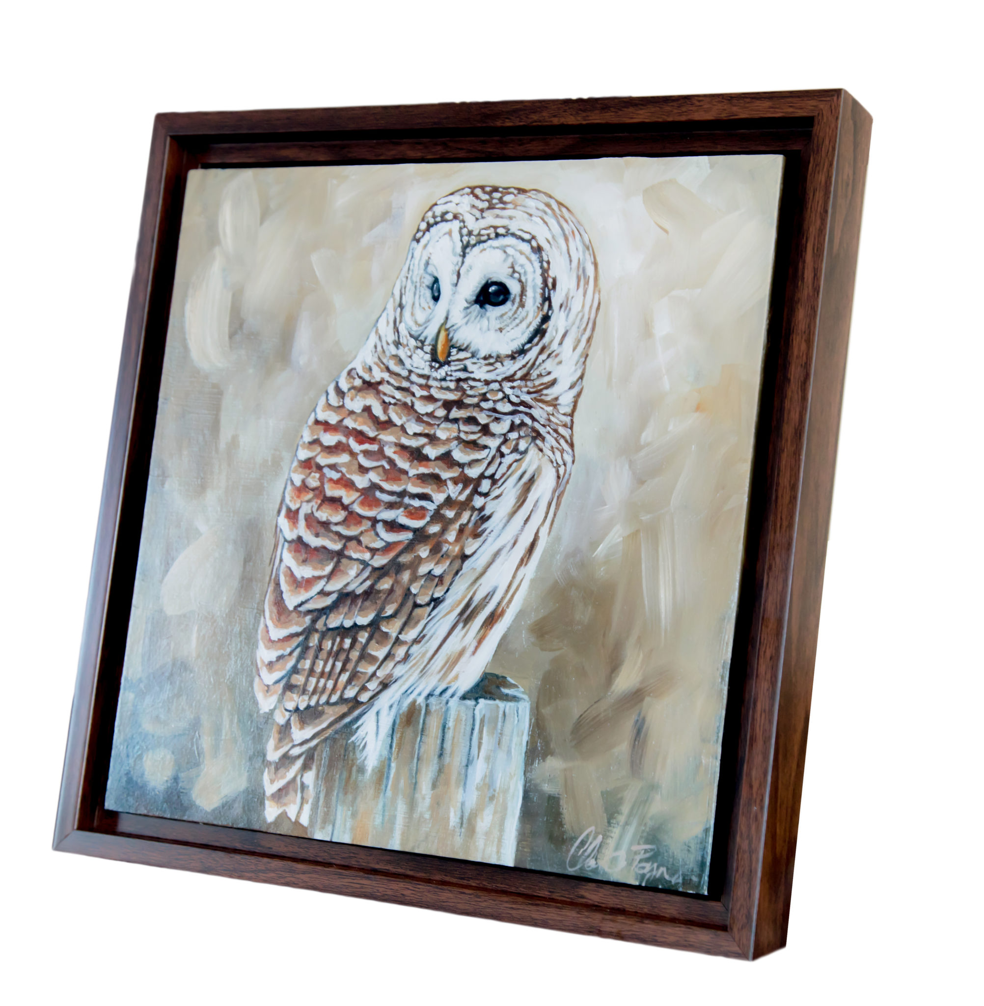 Original Painting - Barred Owl