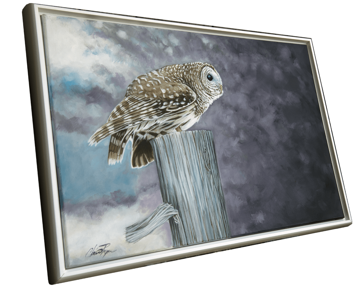 Original Painting - Barred Owl on a Fence